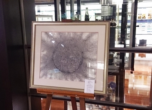 土井展2014
