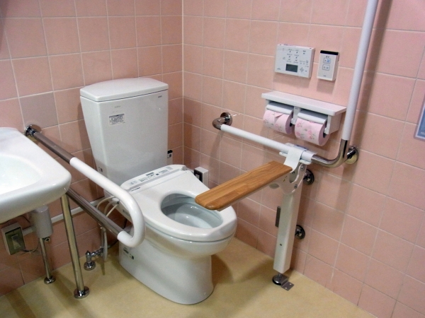 工事不要で自宅でも手軽に導入できる、自力排泄を支援する姿勢補助具「すっきりアーム」