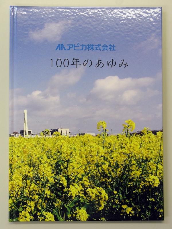 社史『100年のあゆみ』（非売品）