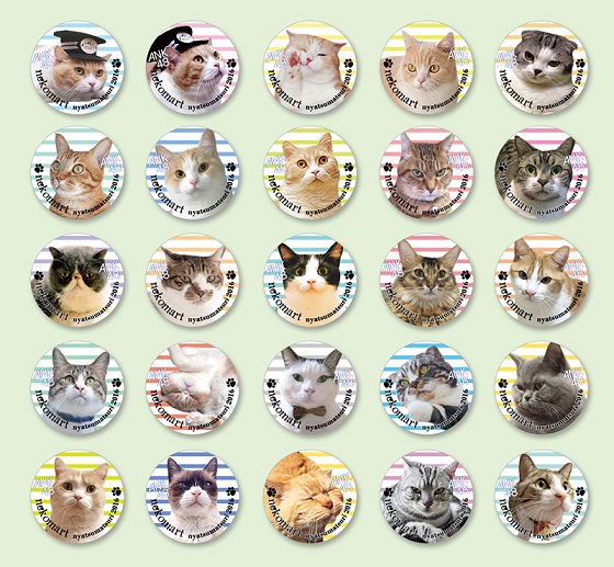 2000円以上のお買上特典　8月13日（土）～teamB　無くなり次第終了