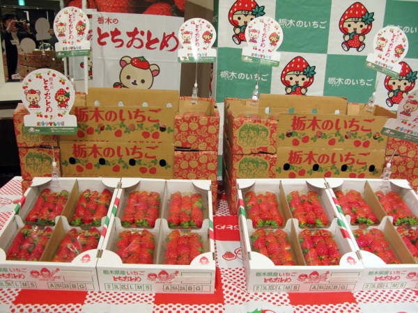 栃木県産いちご「栃木のとちおとめ」