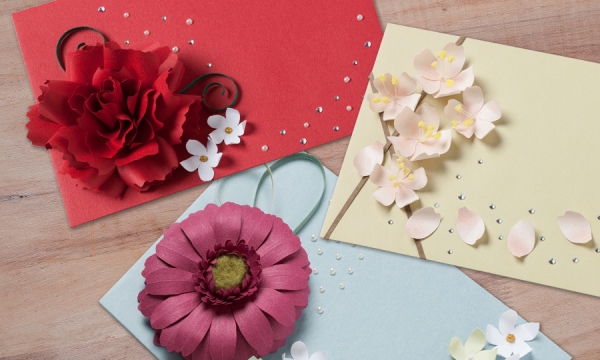 花の種類は さくら　カーネーション　ガーベラ