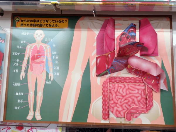 おりがみで、折りながら臓器の名前が覚えられる「動く図鑑MOVE人体のふしぎ」トーヨー