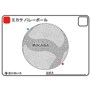 MIKASA バレーボール