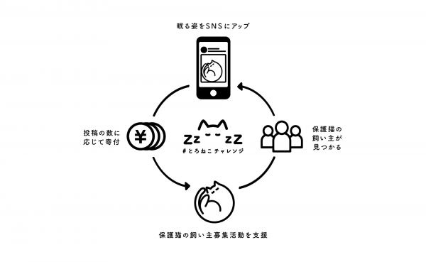 眠る猫の写真や映像、イラストに「#とろねこチャレンジ」というハッシュタグをつけてSNSに投稿すると、1投稿につき10円が保護猫の譲渡活動に寄付される仕組みです。