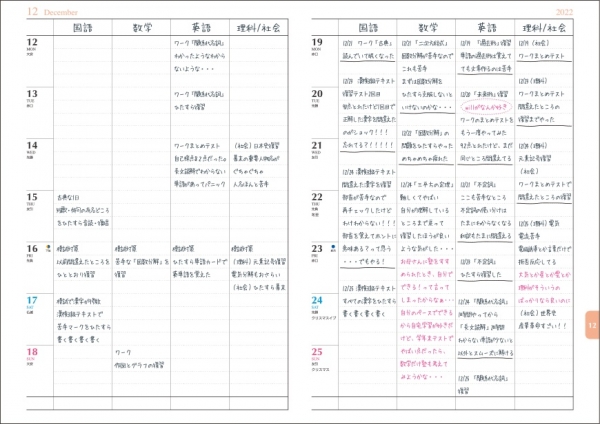（左ページ） 【ウィークリーページ書き込み例①】 4項目を日付に合わせて記入した例。 （右ページ） 【ウィークリーページ書き込み例②】 4項目を日付にこだわらずに記入した例。