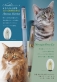 猫をコンセプトにしたオリジナル万年筆＆インク「アメリカンショートヘア」「ノルウェージャンフォレストキャット」の2種類