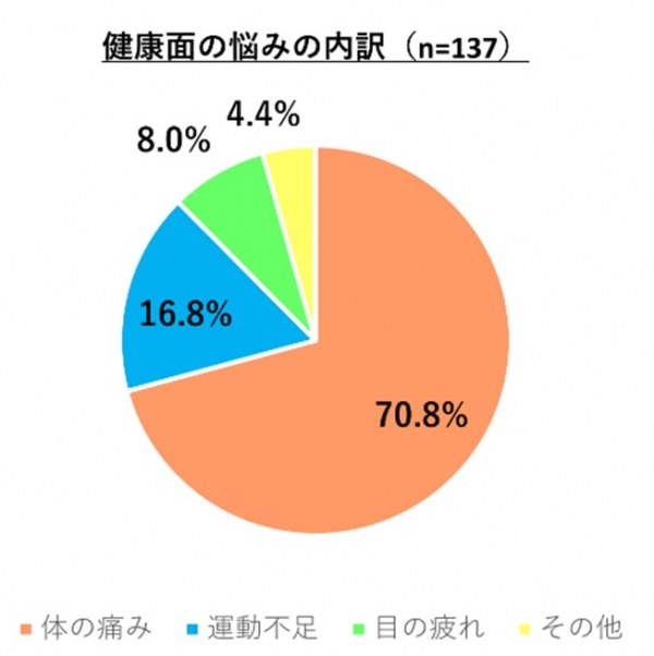 在宅による「健康の悩み」の多くは　身体の痛み