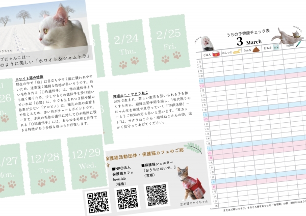 【これであなたも　猫博士　?!　知識満載のブックレット!】
