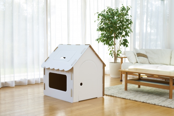 ありそうでなかった組み立てられる画用紙