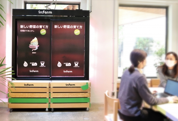 THE CAMPUSに設置された販売開始前の「ファーム（水耕栽培装置）」。6月9日（木）以降は前面が透明な扉に変わり、野菜の生育状況を観察いただけます。