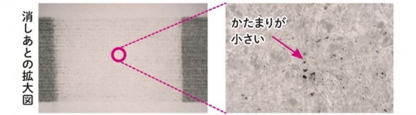 「キャンパスノート（用途別）」の中紙の拡大図