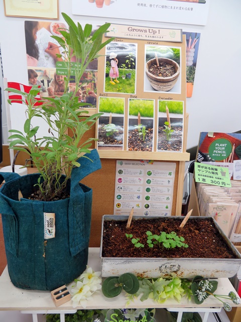 短くなって使いづらくなった鉛筆。筆記具として役目を終えたその時、その鉛筆を捨てるのではなく、植えてみましょう。芽が出る鉛筆「Sprout(R)Pencil」レトロバンク