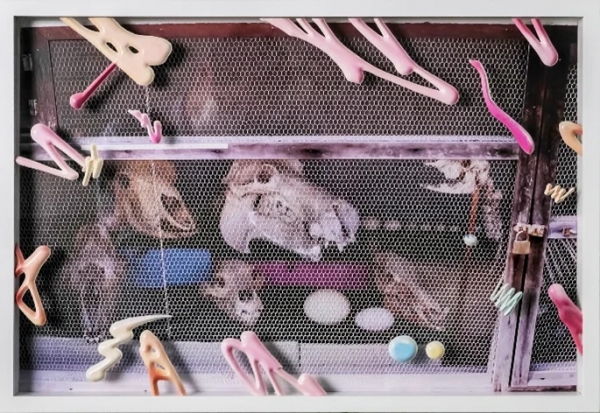 海と膿   Sea and Pus (Photograph of Skulls) 金氏 徹平 / Teppei Kaneuji 2006 / 2020 35.9 ・ 54.0 cm UV inkjet print (StareReap 2.5 print) on acrylic board, polycarbonate