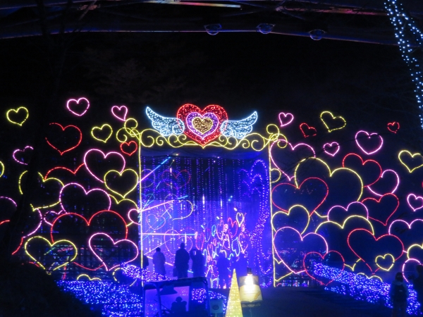 【さがみ湖イルミリオン】初登場！1,000 個のハートと音楽が織りなす光のエンターテインメントショー
