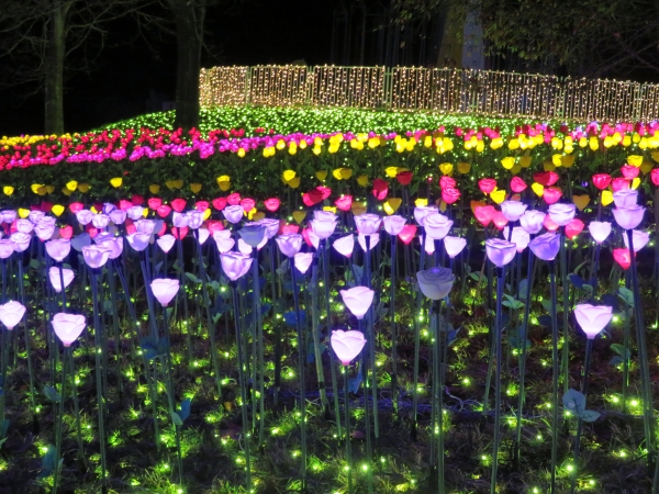 【さがみ湖イルミリオン】本年11月11日（金）に開催された、『第十回イルミネーションアワード』授賞式にて3年連続で総合エンタテインメント部門第2位を獲得いたしました。 また、本年は「関東三大イルミネーション」の改選発表も行われ、前回2018年に続き、2回連続「関東三大イルミネーション」に再認定となります