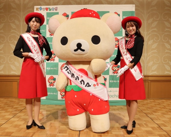 令和5年産 いちご王国・栃木 流通懇談会にてコリラックマが登場しました！