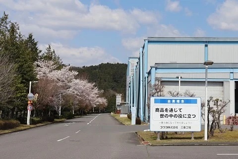 工場正面に植えられた桜並木