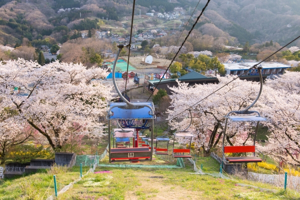 △絶景のリフトで 空中お花見