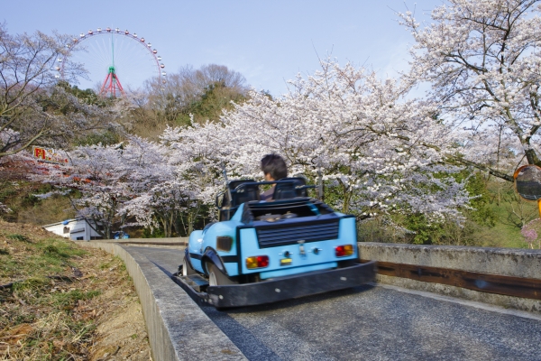 △F-1カートで お花見ドライブ