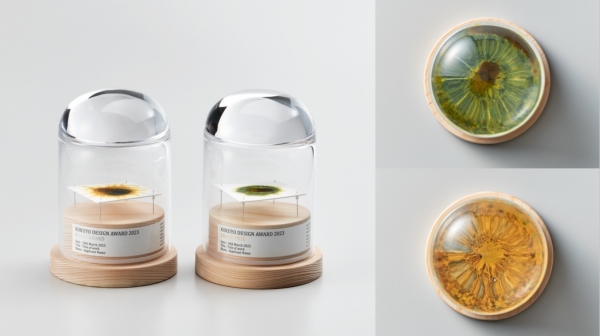 授与されたトロフィー