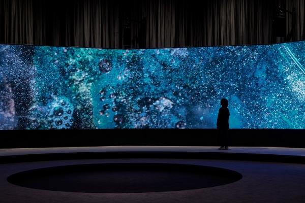 没入感のある大型LEDビジョン