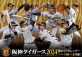 『2024年版　阪神タイガース週めくりカレンダー』が今年も発売