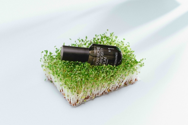 ＜藤生機｜Greenvines＞藤生物科技股イ分有限公司