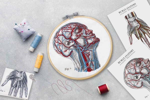 ブランド｜Mr Sci science factory  ＜DIY血管刺繍キット＞