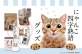 『にゃんこ四字熟語グッズ』が販売開始&amp;2/22猫の日記念キャンペーン