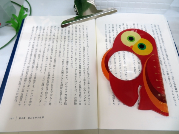 ƥꥢˤʤ 襤Ļ구꡼  롼ڡ֥Сɥ롼 ե׿о졪ΰϸ׺ˡĻβ˴դޤ٥