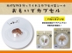 サンスター文具　工作や自由研究 拾った宝物など大切な物を守るカプセル型シール 『おもいでカプセル』