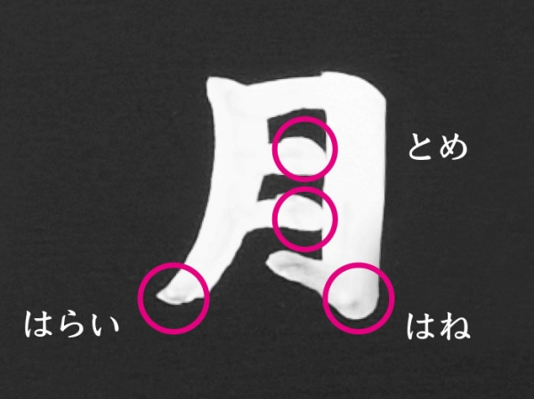 とめ、はね、はらいが表現できる