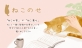 ねこと過ごす心地よさを日常に感じられるアイテム「ねこのせ」シリーズ発売