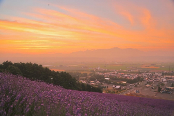 中富良野町小学校の目の前にある北星山から朝の風景
