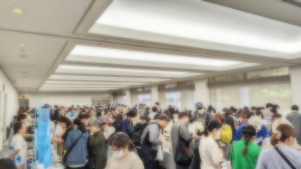 前回の様子